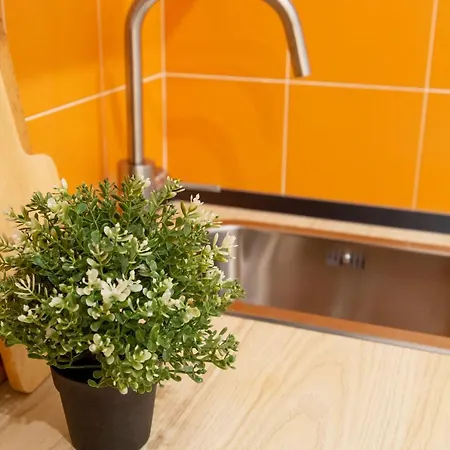 Quiet In The Heart Of The 트리에스테